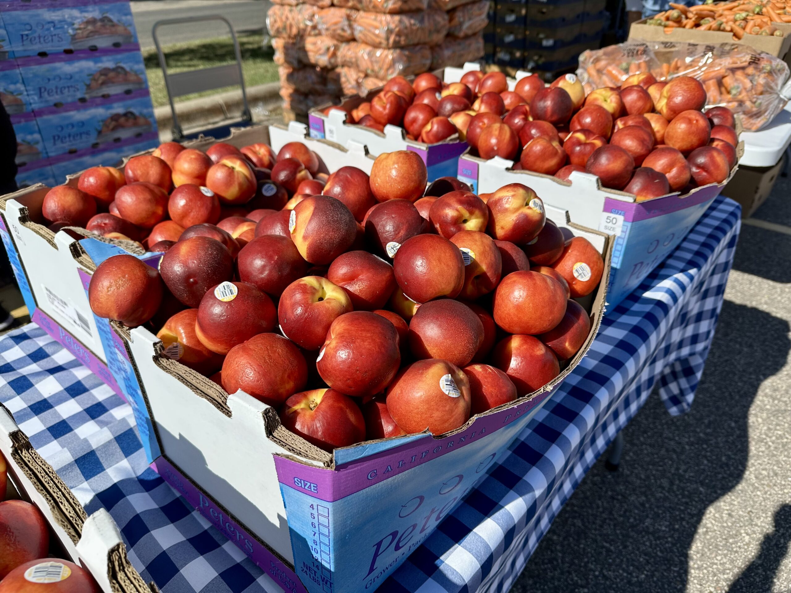 Nectarines