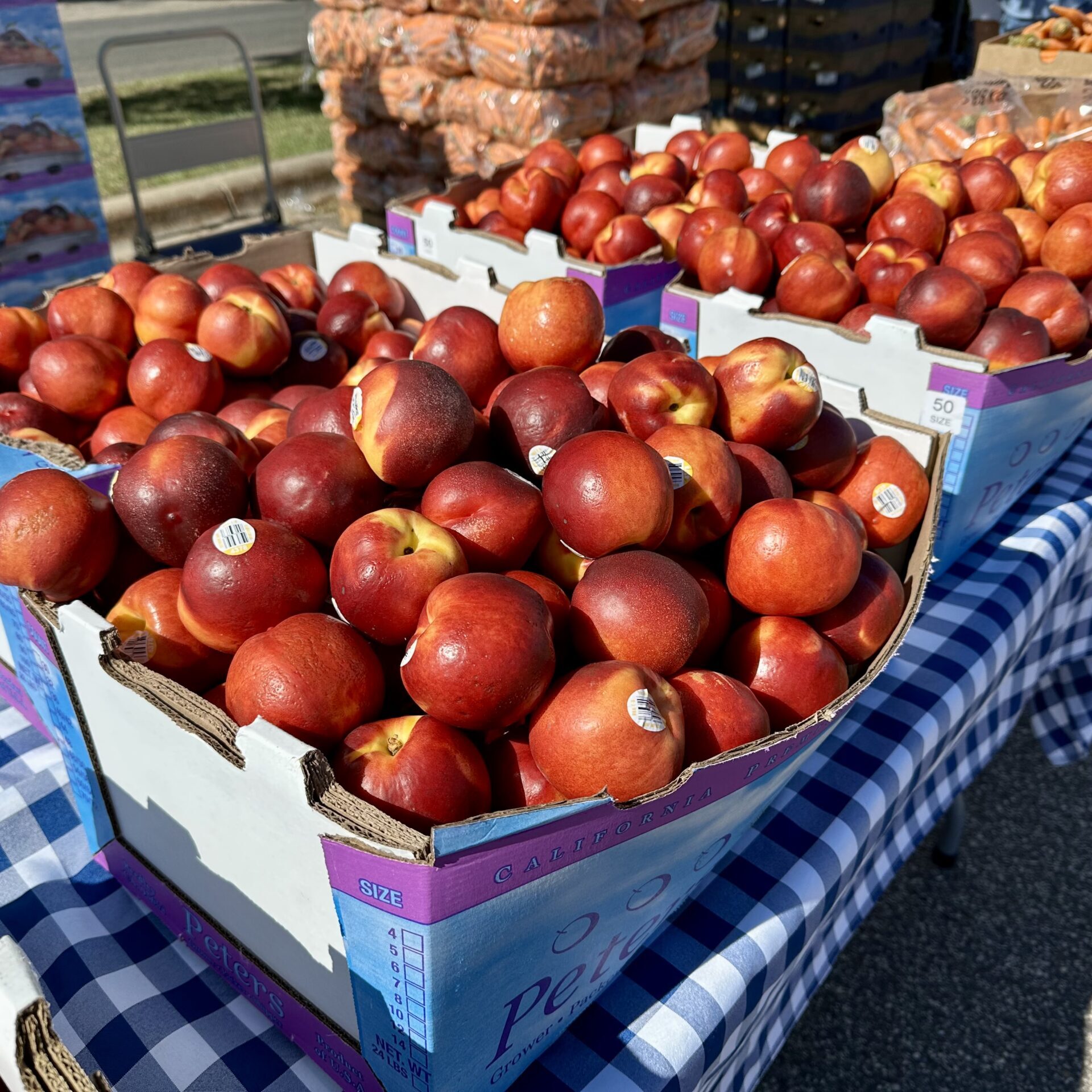 Nectarines